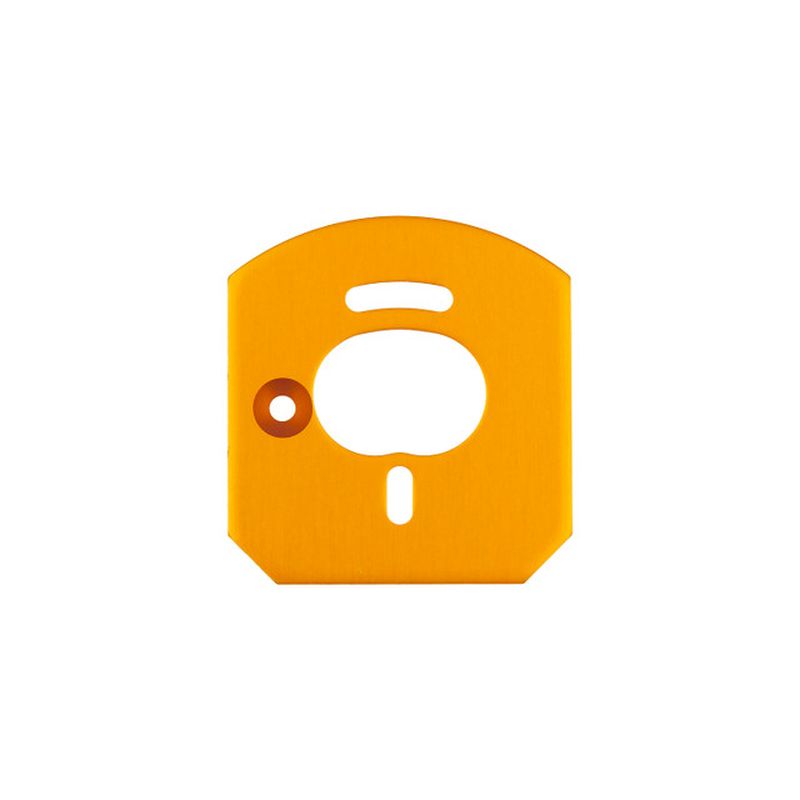 Team Associated 6x6 Motor Mount Plate, Gold  31953
