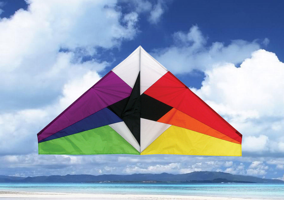 Skydog Kites 55" Rainbow Delta Default Title