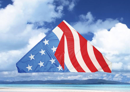 Skydog Kites 55" USA Delta Default Title