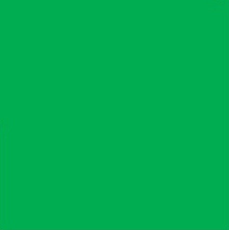 Spaz Stix GREEN FLUORESCENT AEROSOL PAINT 3.5OZ Default Title